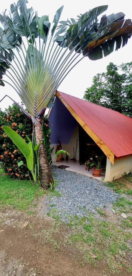 Ballena Oasis Homes & Glamping อูวีตา ภายนอก รูปภาพ