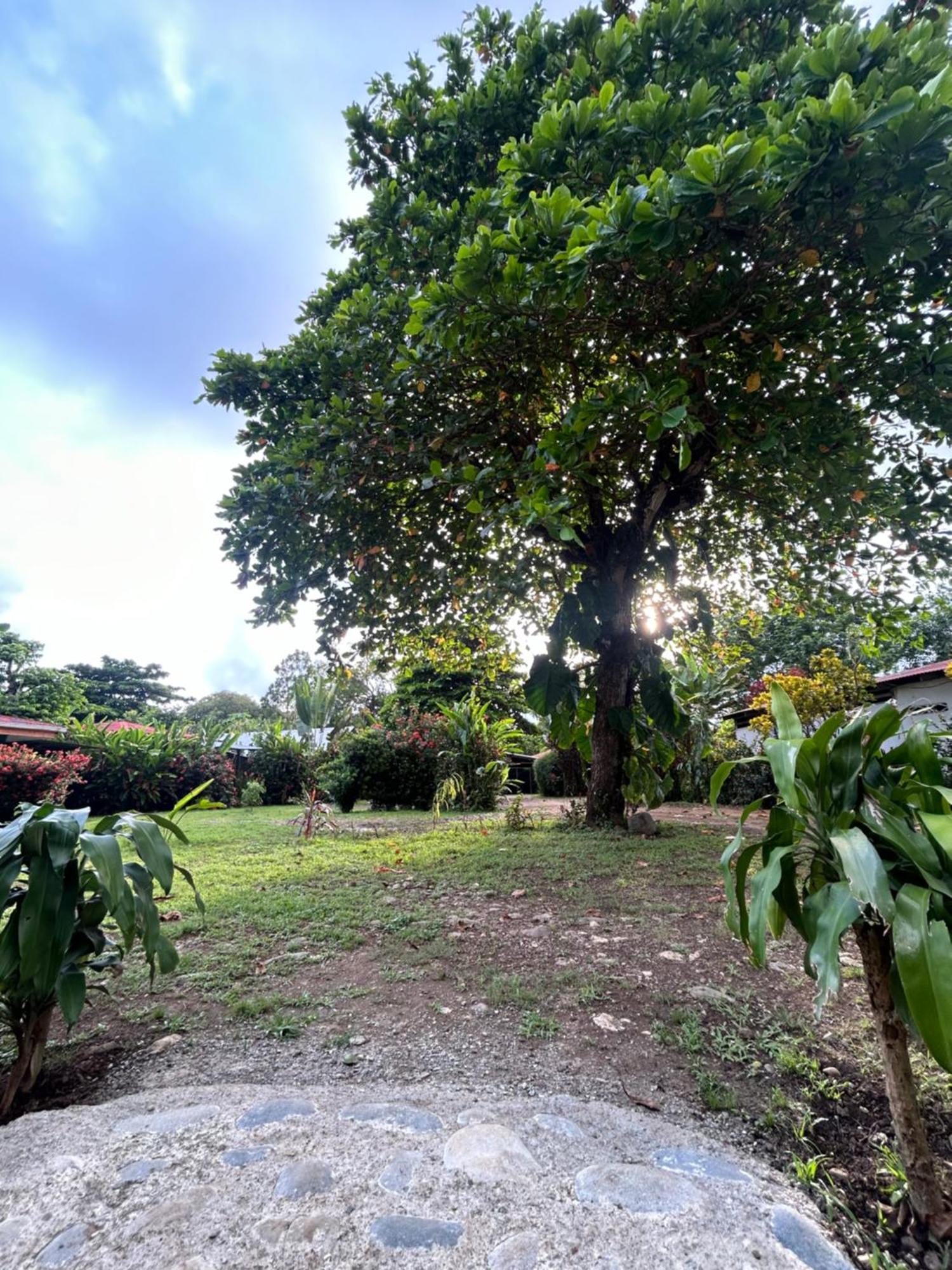 Ballena Oasis Homes & Glamping อูวีตา ภายนอก รูปภาพ